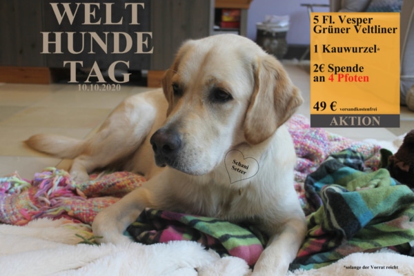 welthundetag-foto-3