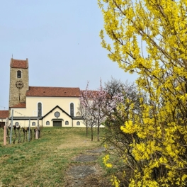 Kirche-Hohenwarth-Frühling-Setzer