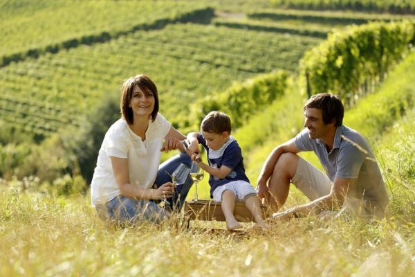 Weingut-Dollt-Pfalz