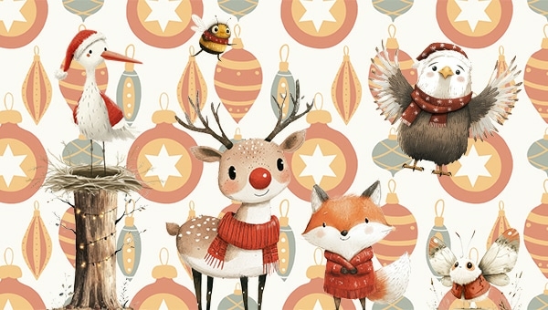 newsletter-vollbild-weihnachten-danke