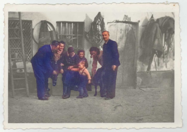 weingut-setzer-hof-1946-swb-newsletter