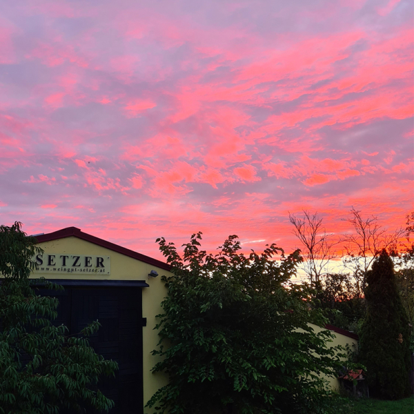 setzer-presshaus-morgenrot-11