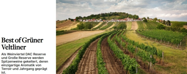 a-la-carte-bewertung-2025