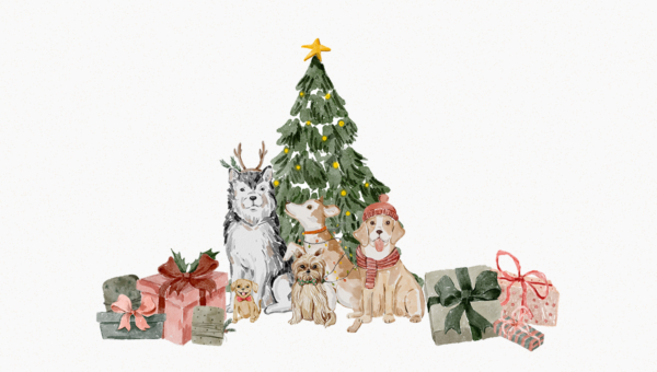 kampagne10-newsletter