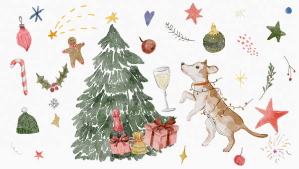 kampagne2-newsletter