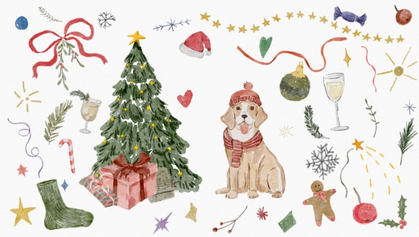 kampagne4-newsletter