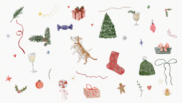 kampagne8-newsletter