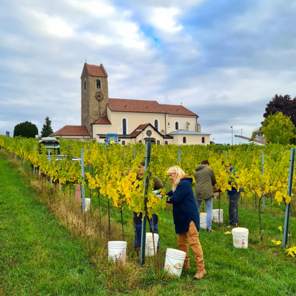 kirchengarten-lese-11