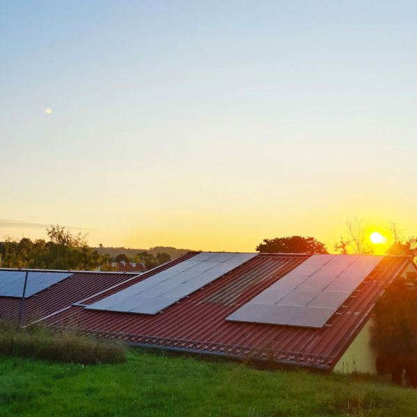 sonnenaufgang-presshaus-11