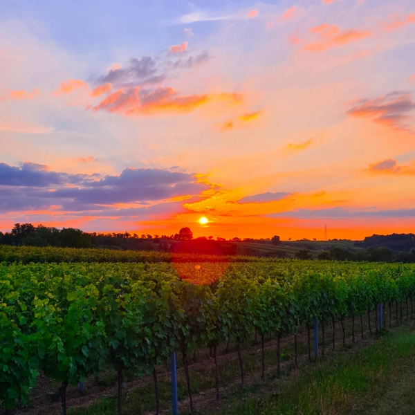 sonnenaufgang-kreimelberg-11-2